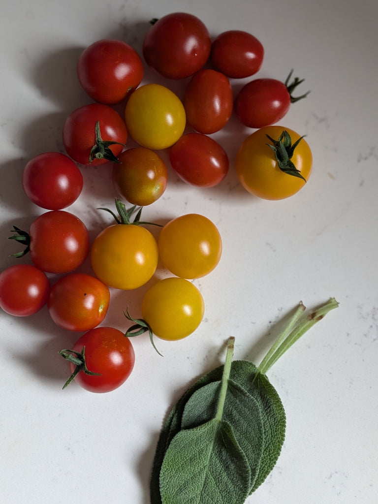 Garden Updates